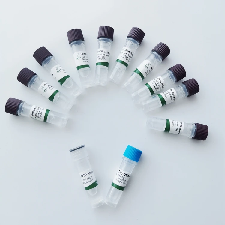 Wholesale enzyme specific reagents taq dna polymerase(with Mg2+)