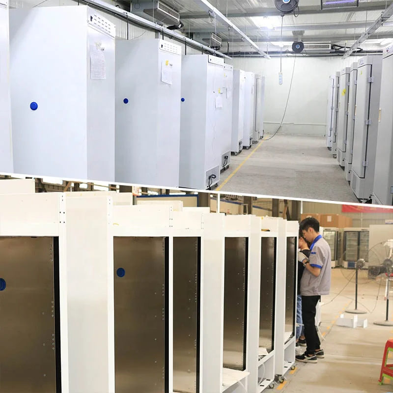 Biobase China J  -60 degree freezer BDF-60H218 LED display 220L Freezer for Laboratory