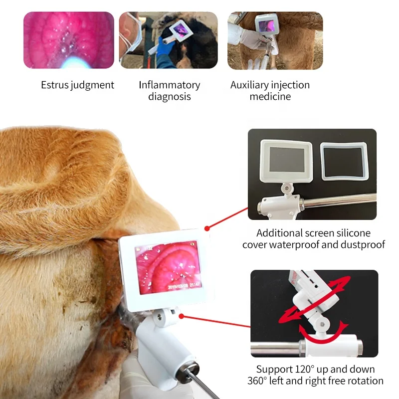 Digital Ai Cow Artificial Insemination Gun Camera + Portable Bovine Pregnancy Scanning Veterinary Ultrasound For Cattle