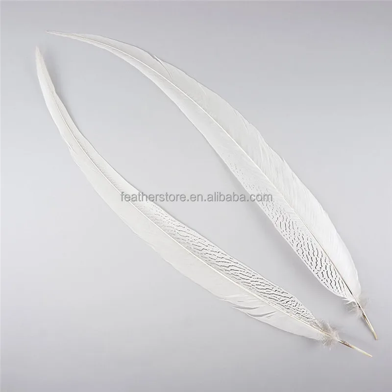 45-50cm DIY Feather Silver Pheasant Tail Feather Pheasant Plumage for Carnival Costumes Decoration