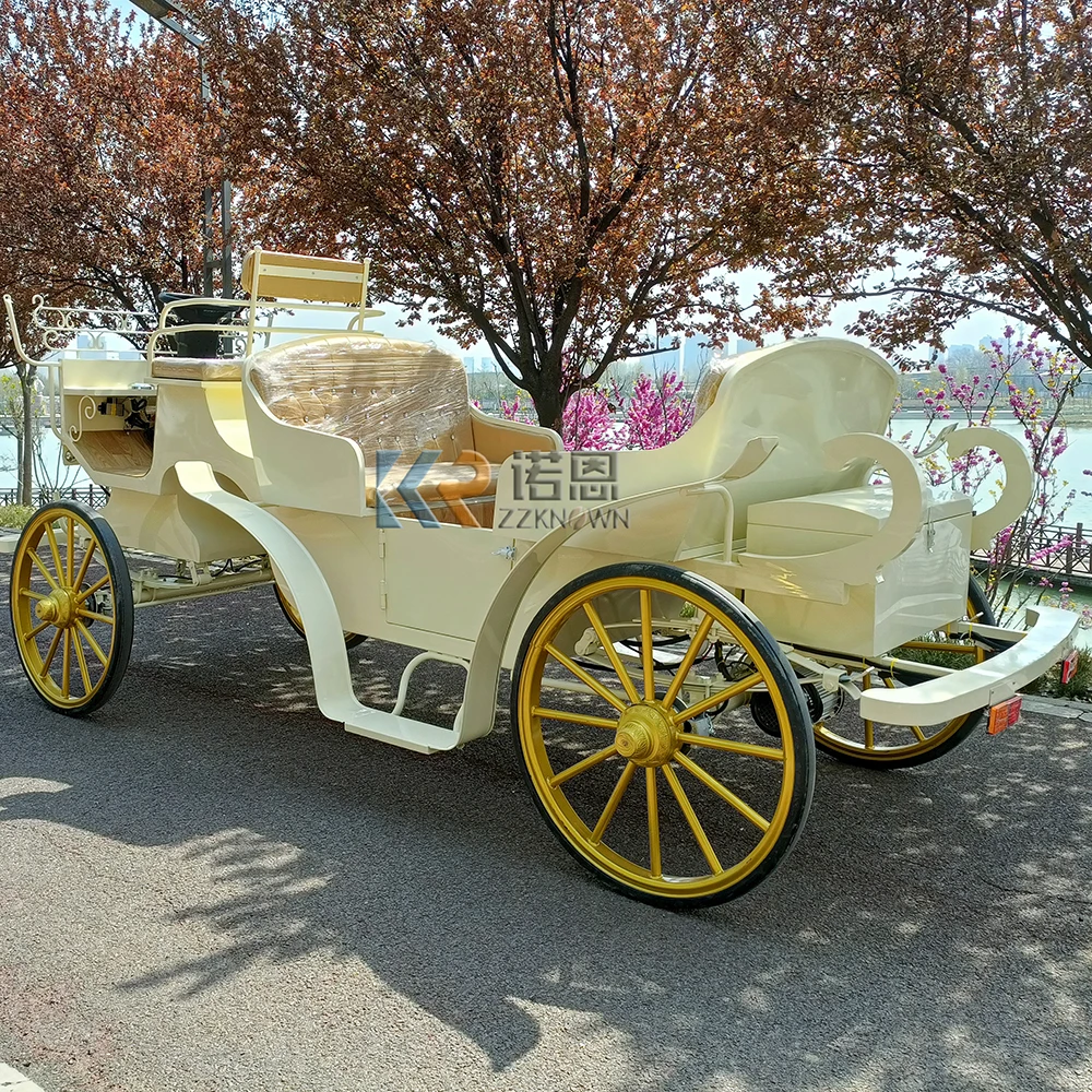 European Style electric touristic horse carriage carts caleches sightseeing Victoria horse drawn carriages wagon