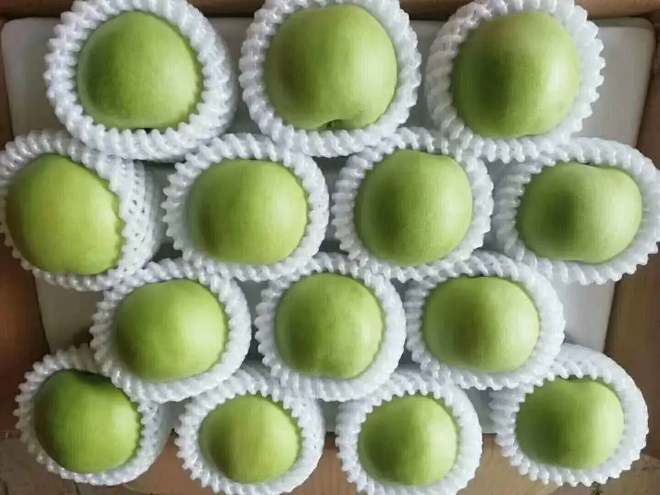 Juicy pear high quality for export from China fresh Ya pear hot on sale Chinese fruit sweet and