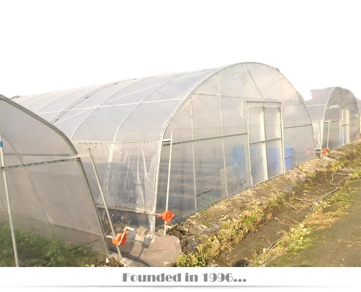 Hot-dip galvanized steel Galvanized Pipe Single-span Agricultural Plastic Film Greenhouses