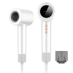 LDY Hair Dryer Professional Powerful Hair Dryer Fast Heating Hot And Cold Adjustment Ionic Air Blow Dryer with Air Collecting