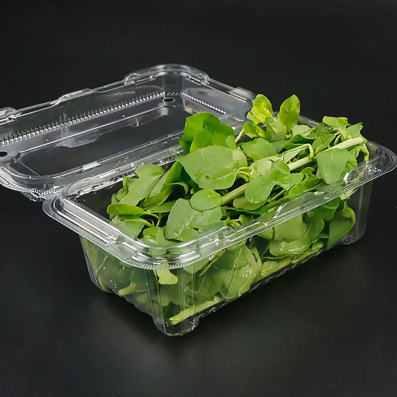 Eco Friendly Clamshell Container Box For Vegetables Fresh Lettuce Packaging Box Clamshell Packaging Rectangular For Micro Greens