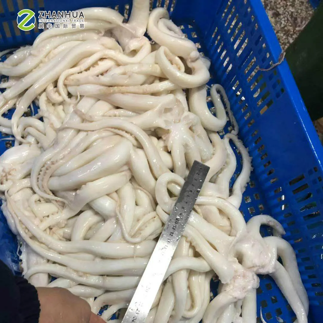 Гигантского кальмара головка щупальце без кожи короткие щупальце
