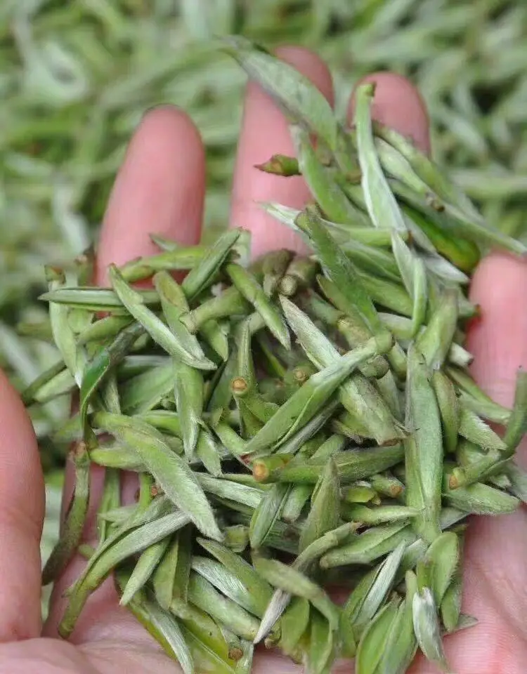 2021 Bai Hao Yin Zhen White Loose leaf tea silver needle for wholesales