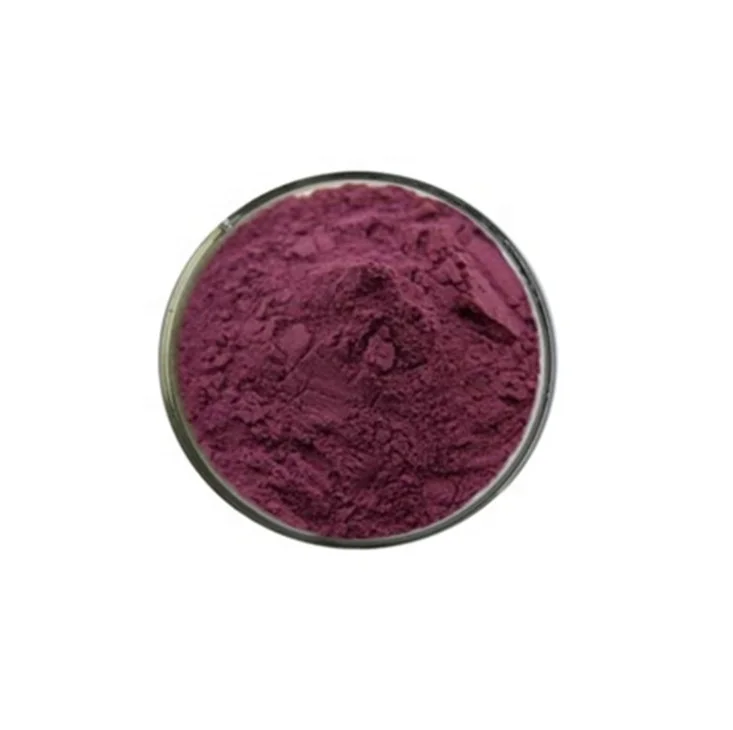 Wholesale Maqui Fruit Powder Organic 98% Maqui Berry Extract Powder
