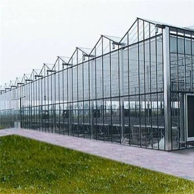 
Китайская сельскохозяйственная теплица со стеклянным покрытием 