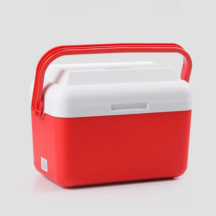 
2019 GINT 8 liter mini fish camping cool box 