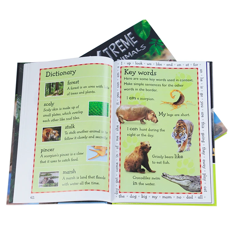 New Design Colorful Hardcover Children Educational Book Customized with Lenticular Sticker Affixed on Front Cover