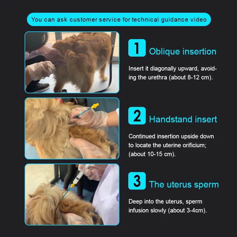 30cm blue disposable artificial insemination tube for dog syringe veterinary instruments needle disposable syringe