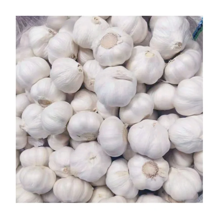 Fresh pure white garlic high quality 3P 5P net bag small package Top Product Dried Garlic High Quality Garlic For wholesale