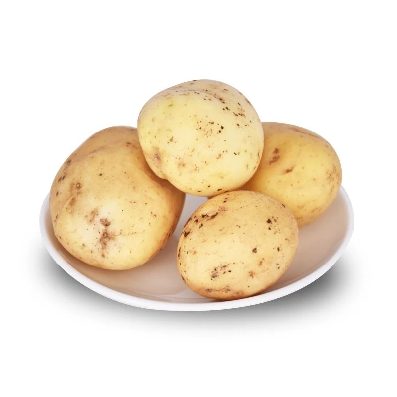 
Wholesale China 2020 New Corp Factory Sells Export Patato Sweet Potato Fresh 