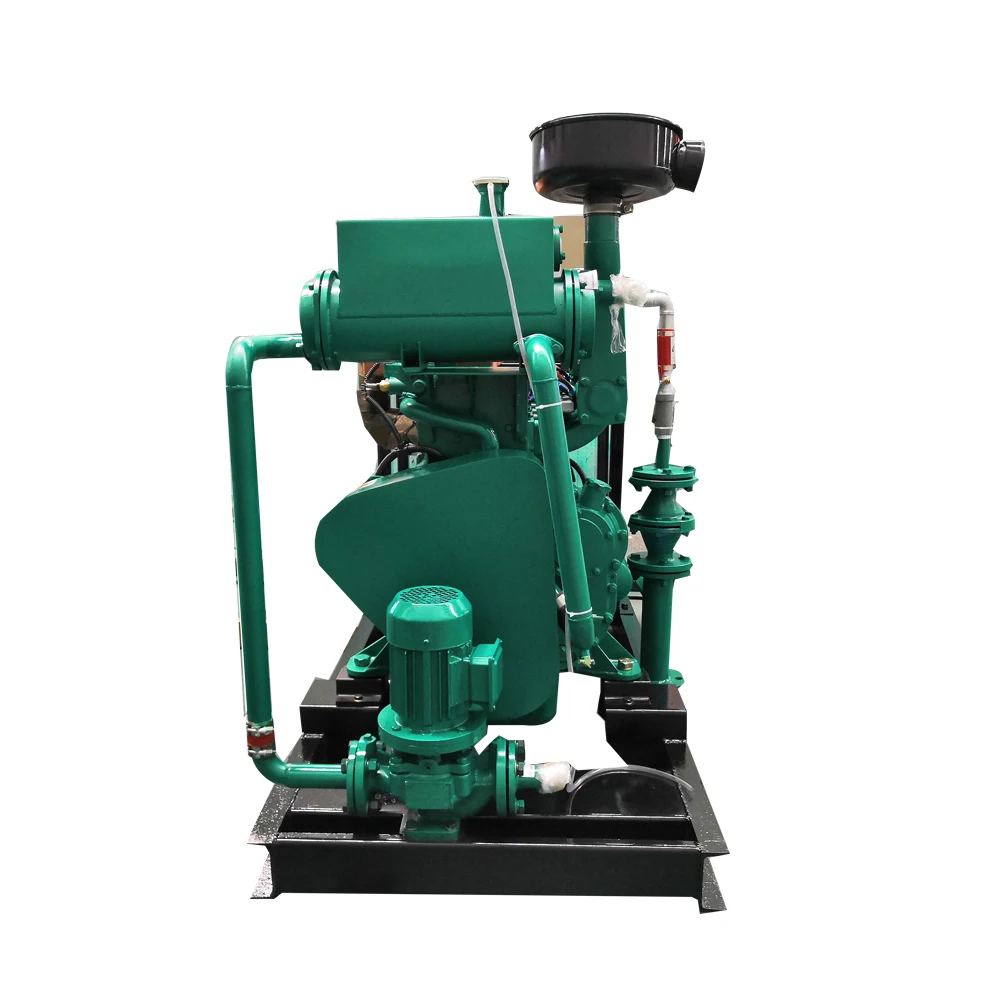 CE & ISO 3 фазы 20 кВт 25 кВА генератор природного газа цены