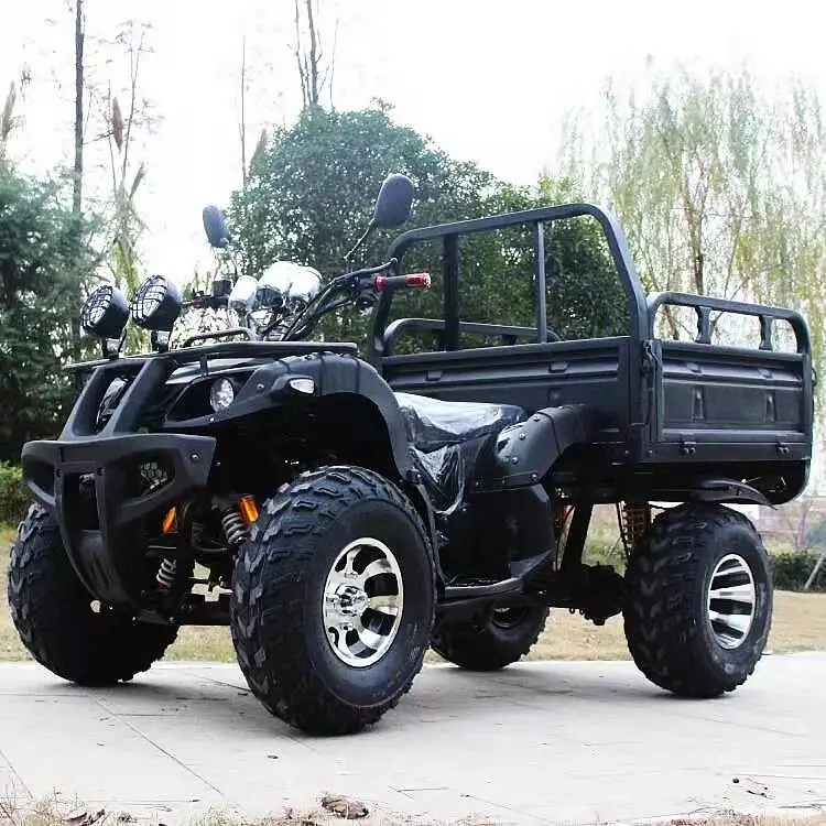 2-местный внедорожник по конкурентоспособной цене 4-тактный охотничий 4x4 сельскохозяйственный автомобиль с сертификатом EEC