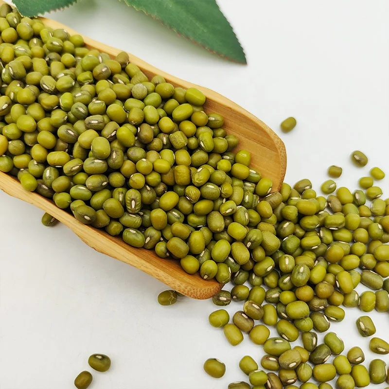 Без ГМО высокая скорость проращивания фасоль виноградника зеленая мунг зеленые граммы семян сушеная для продажи