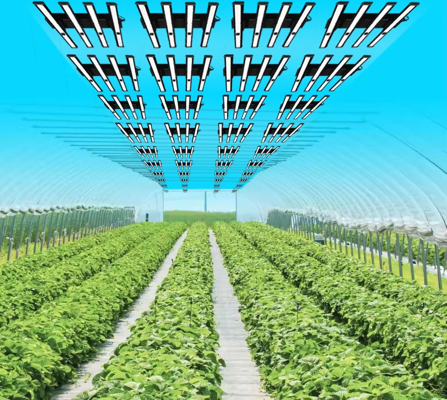 Learnew Hot Sale Commercial Led Grow Light B3 240W For Greenhouse Led Full Spectrum Grow Light For Indoor Plants