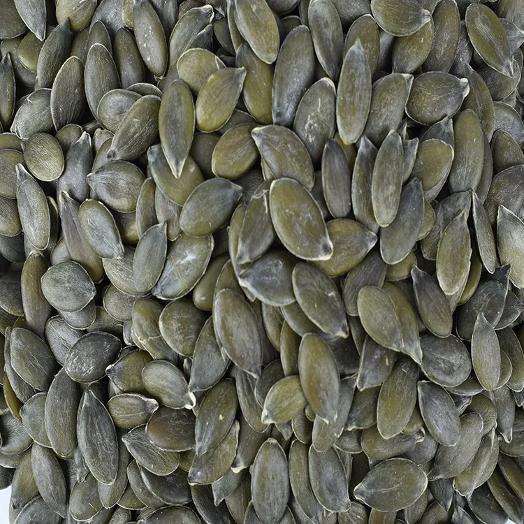GWS pumpkin seed kernels  Organic pumpkin  from Inner Mongolia ,China with cheap price