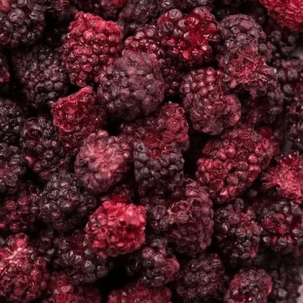 Crispy Dried Blackberry Whole Freeze Dried Blackberries Fruits