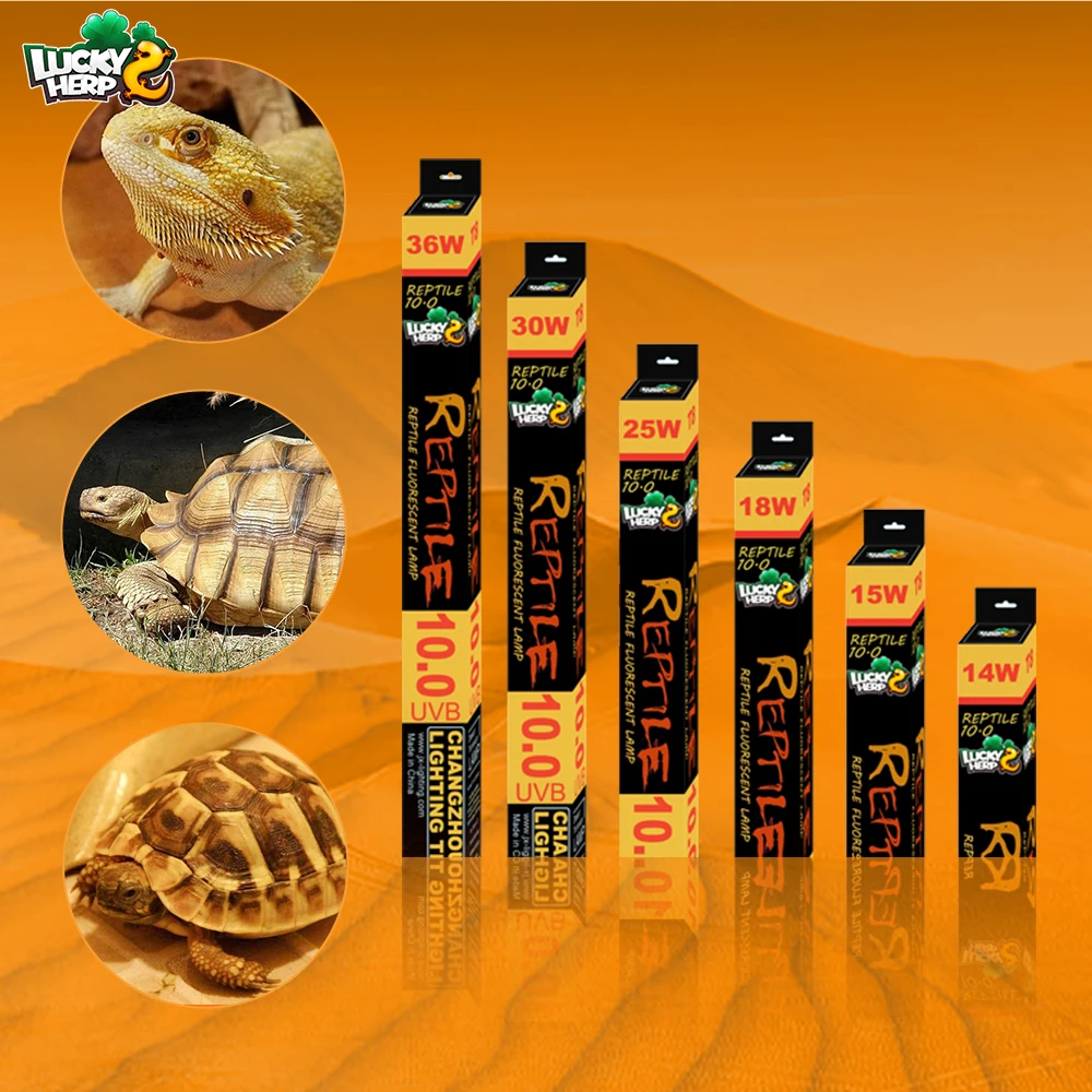 High Quality And Cheap Price T8 14W 15W desert rainforest reptile uvb fluorescent tube