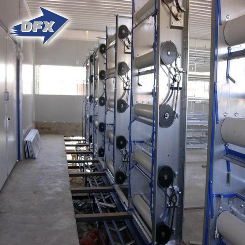 China steel frame layer poultry farm shed structures construction design building