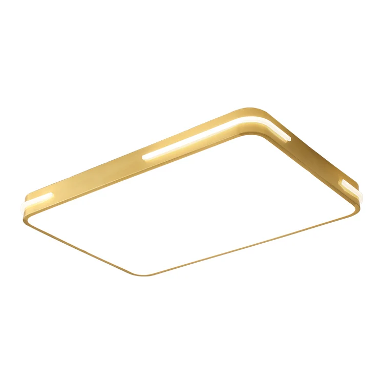 Indoor modern style rectangular ceiling lamp simple design living room ceiling lamp new China ceiling