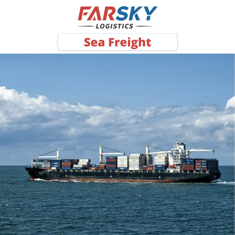 Ocean Freight Forwarder LCL To US Canada Europe Sea Shipping DDP DDU
