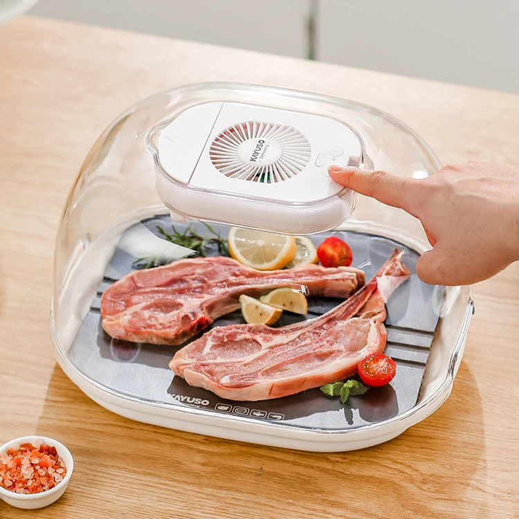 2022 New Defrosting Box  With Meat Defrosting tray Kitchen Product Meat Defrosting Machine Quickly Thawing