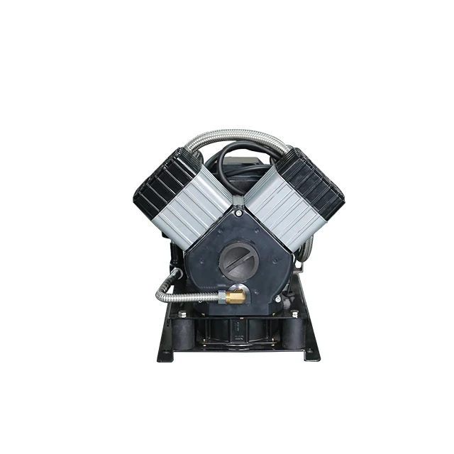 Popular 220v 50hz Medical Unit Silent oil free Motor Spare Parts Portable Mini Air Pump Compressor Head