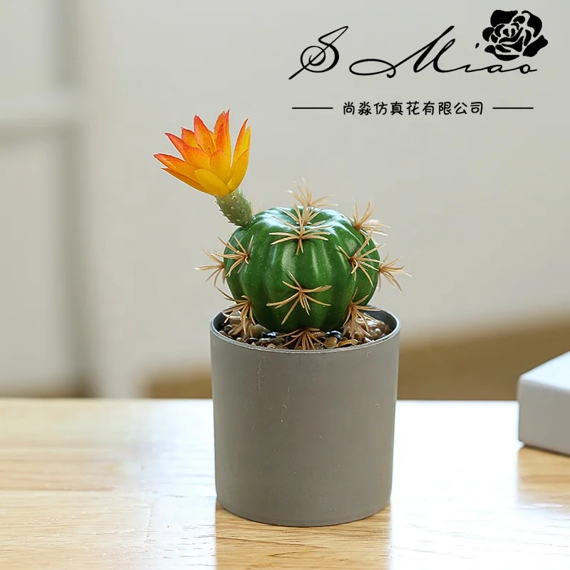 Indoor Evergreen Decoration Plastic cactus Faux Plants Tropical plant Simulation Cactus
