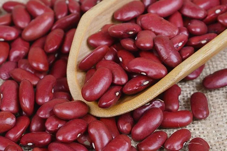 
The top quality of new crop2019 Dark Red Kidney Beans/ DRKB/RAJMA/ Selected by H.P.S Size:190-210pcs/100g 