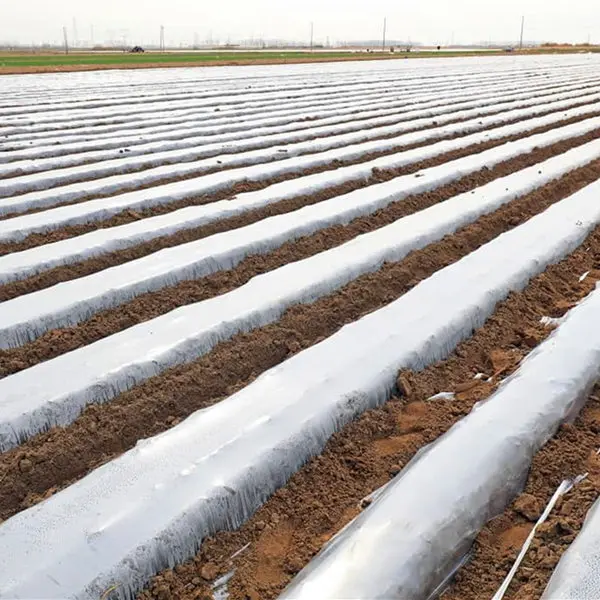 Wholesale Farm Vinyl Cover Film Handmade Plant Mulch 100% Polypropylene Mulch