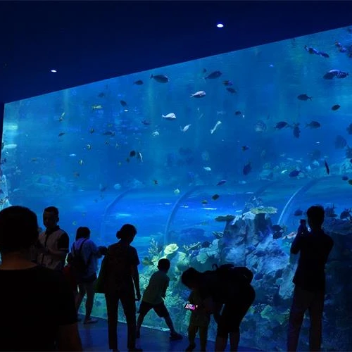 Wall Mounted Acrylic Fish Tank Aquarium Aquariums & Accessories Plastic 100% Pure Imported Lucite 20mm--500mm Sustainable 0.041%