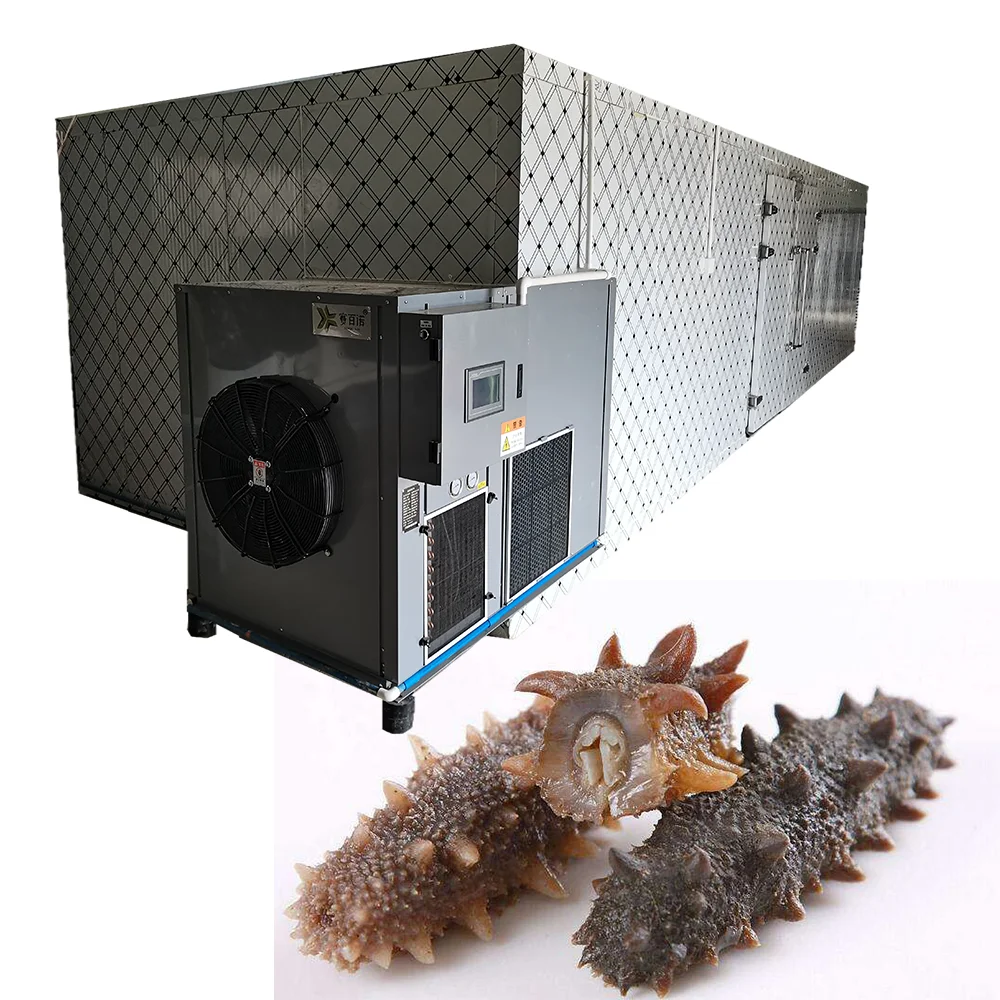 Save electricity for you, the energy efficiency ratio is 1:4 Sea cucumber Drying Machine Seafood Heat pump Dryer Dehydrator