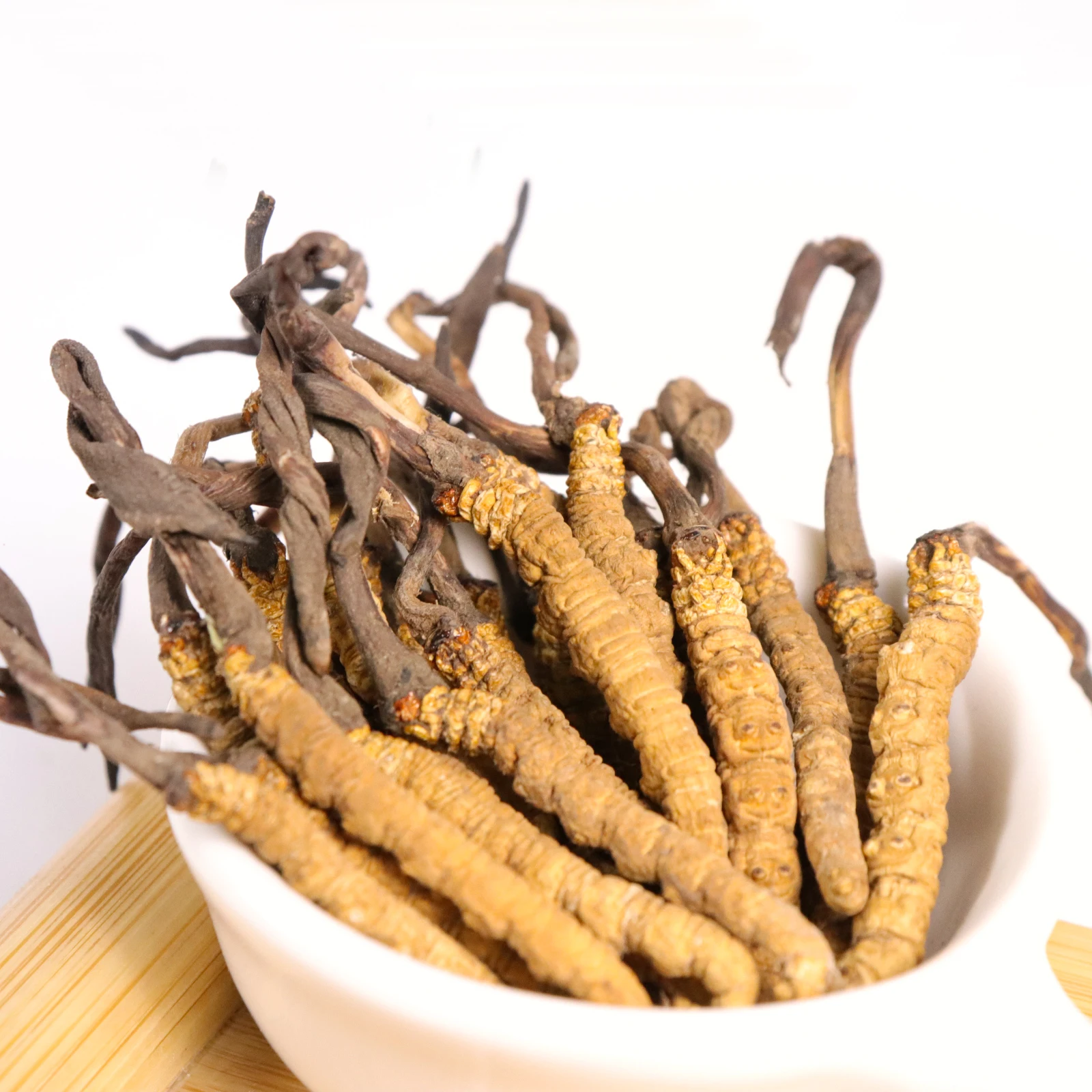 Bulk complex fresh dried cordycepin shitake mycelium whole teins cordyceps sinensis mushroom cordyceps militaris fungus