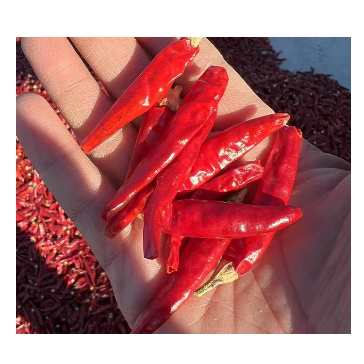 high quality and competitive price Wholesale Sweet Paprika Dried Single Spices&Herbs