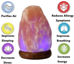 Hot Sale Himalayan Salt Light Himalayan Pink USB Salt Lamp For Salt Rooms