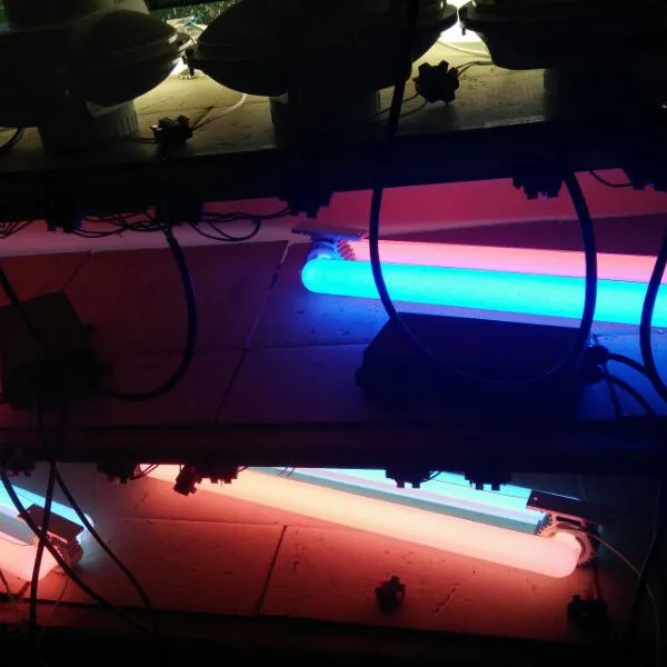 Red light blue light lamp 40-500W plants growing seedling stage to fruit stage