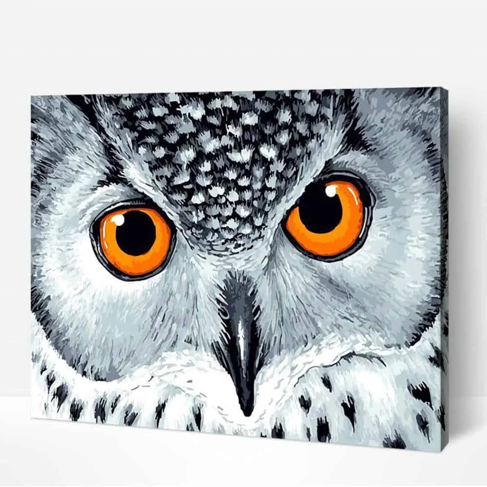 Owl Eyes Peacock Feather 8x10 predrawn paint by number canvas kits sksi paint by numbers love bible