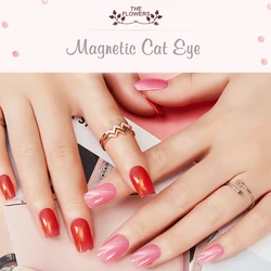 Hanyinails Magic Cat Eye Gel Polish Magnet Temperature Change Starry Sky Cat Eye Nail Gel Polish for Salon Art