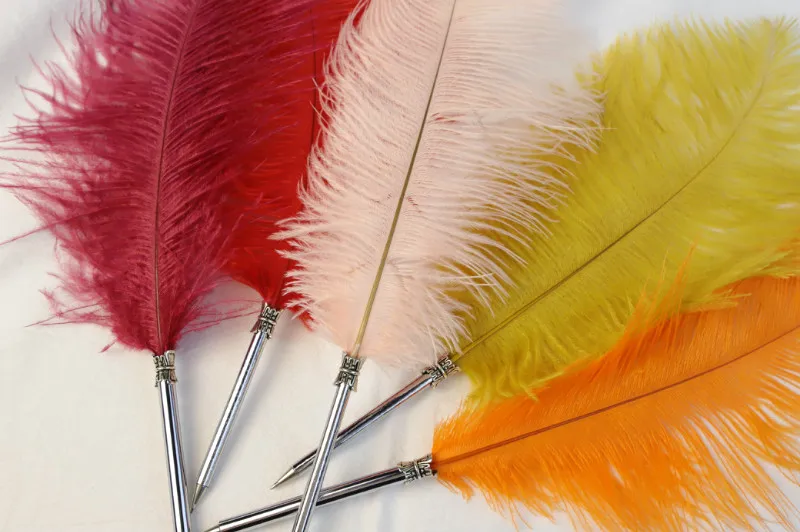 Wedding Pen Black Ink Signature Ostrich Feather Quill Ballpoint Pen Red