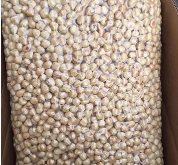 Chinese suppliers roasted hazelnut kernel, original flavor, Cobnut/Dry Hazelnuts for sale popular
