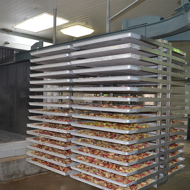 Continuous commercial food freeze dryer customized 1000kg fruit freeze dryer sale price