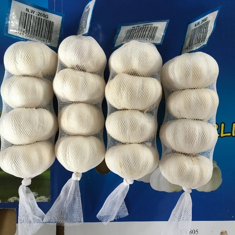 New Crop Factory Supplier Normal White And Pure White Garlic