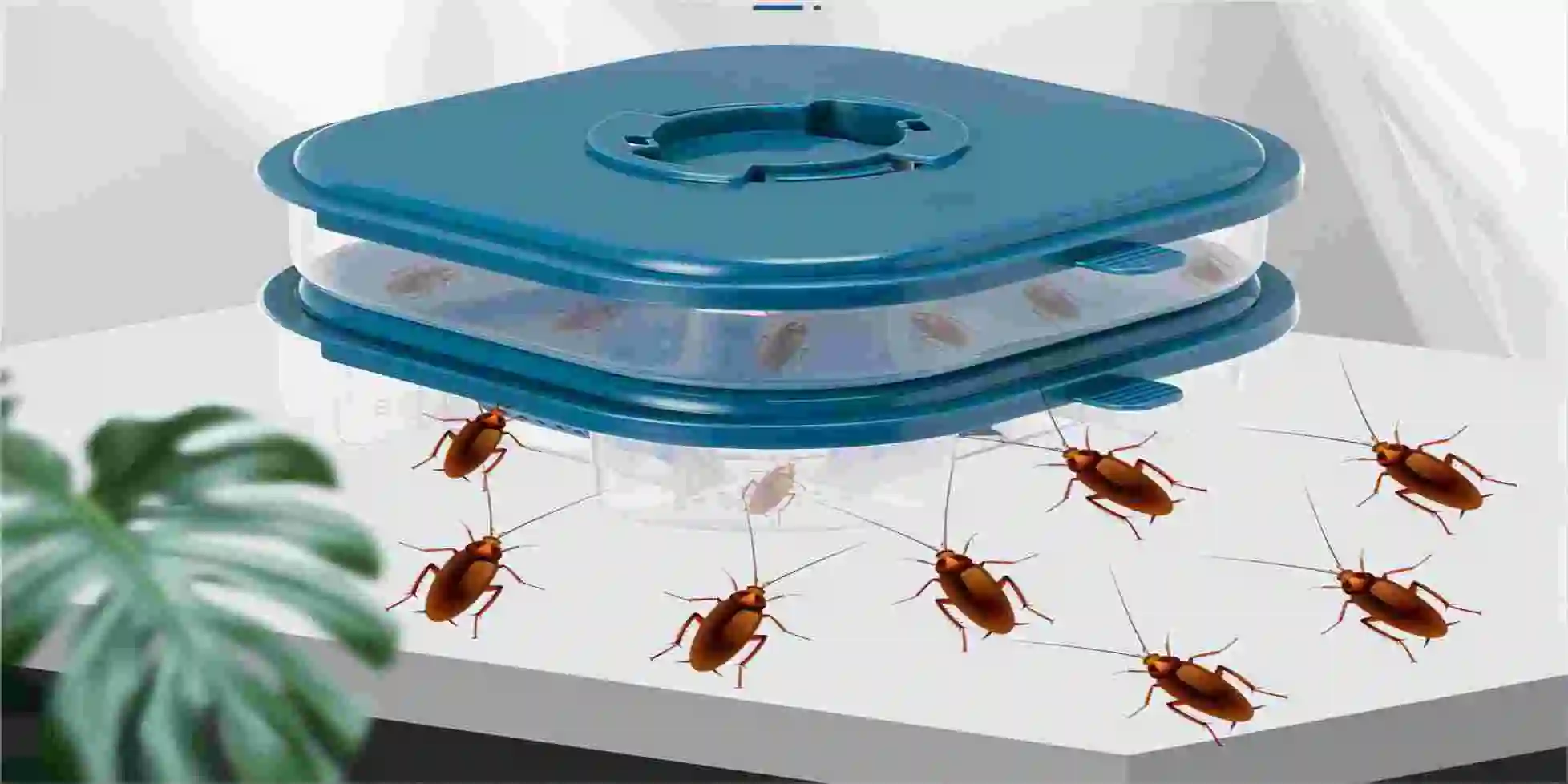 Strong Double Layer Cockroach Catcher Box Efficient Pest Control Trap Cockroach Elimination Kitchen Bathroom Animal Design US