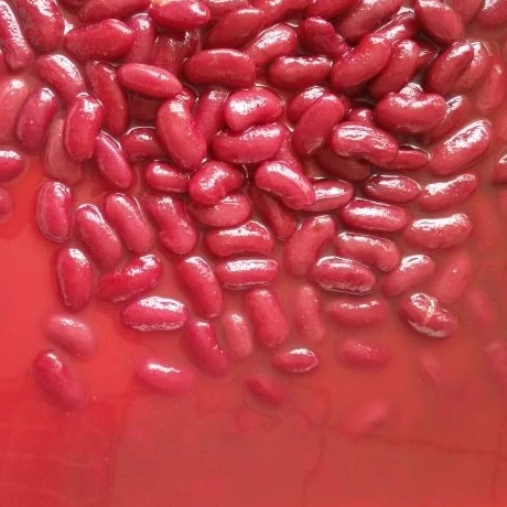 canned red kidney beans in tomato sauce