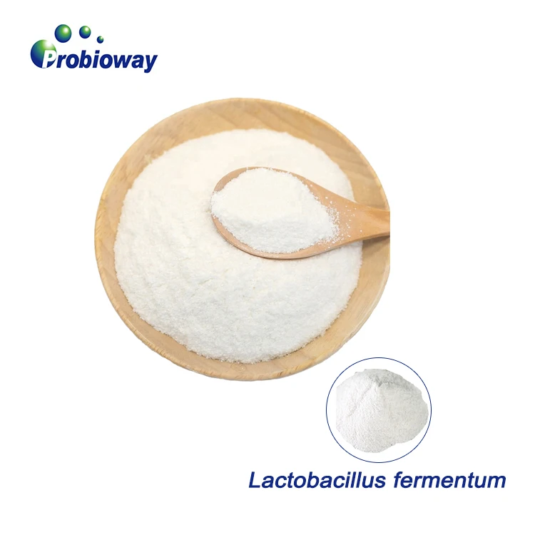 Lactobacillus fermentum HH-LF39 100 млрд cfu/g пробиотики порошок для сохранения пищевых продуктов добавка бактерии молочной