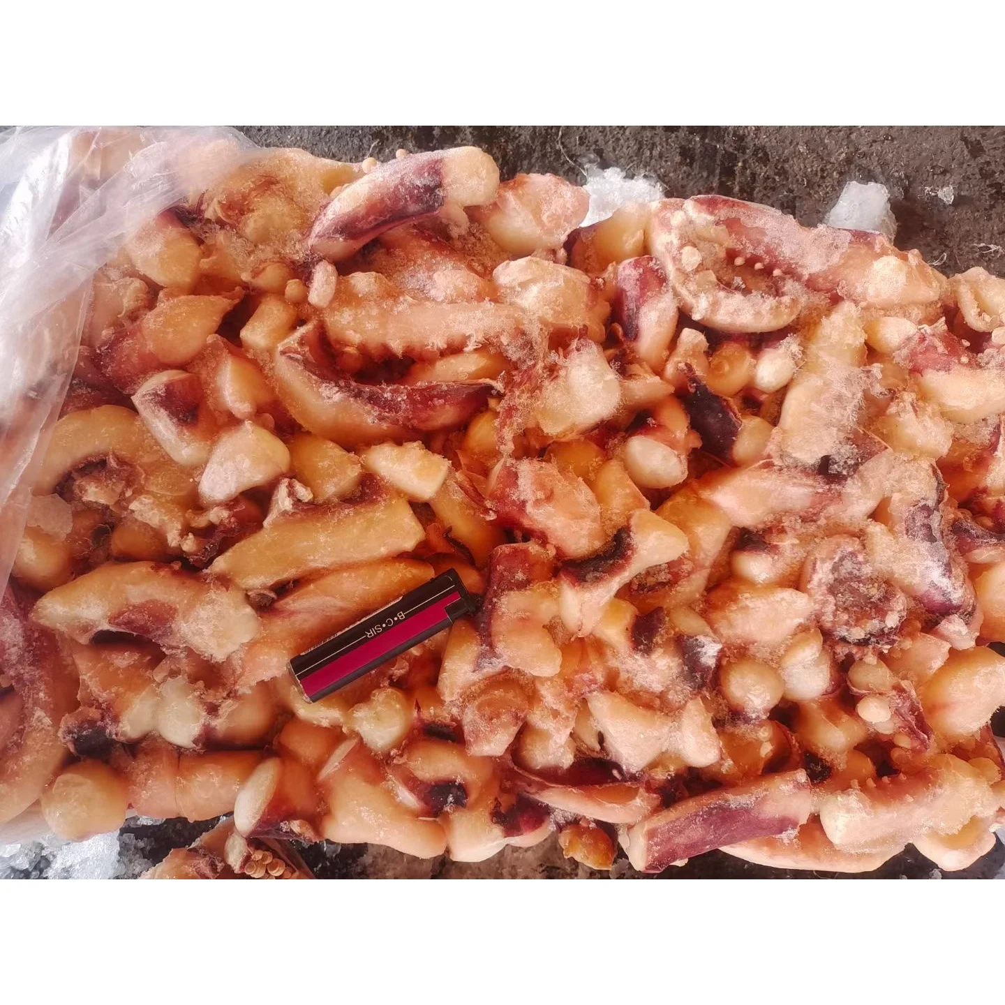 Wholesale Price Cut Calamari Frozen Giant Squid Tentacles For Cooking