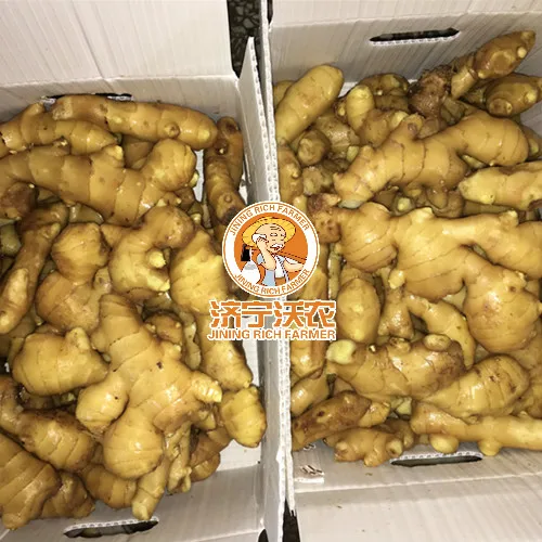Fresh Ginger Buyers In China Good Quality Ginger Price Per Ton
